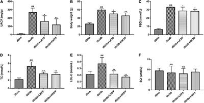 Kaempferol attenuated diabetic nephropathy by reducing apoptosis and promoting autophagy through AMPK/mTOR pathways